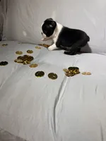 processed/556e972b-db4e-4e60-a6a5-cd76d1b32419/listing/b40e019b-4f56-49c0-a738-3ec1619eb2e5/598620a1-45ba-4811-926b-3ac9ecbe1db6