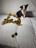 processed/556e972b-db4e-4e60-a6a5-cd76d1b32419/listing/b40e019b-4f56-49c0-a738-3ec1619eb2e5/5bfb658f-3435-4a6f-b62d-c96a744acc9d