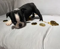 processed/556e972b-db4e-4e60-a6a5-cd76d1b32419/listing/b40e019b-4f56-49c0-a738-3ec1619eb2e5/a22c2387-3f70-420d-b11f-353b1bdcaddc