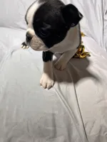 processed/556e972b-db4e-4e60-a6a5-cd76d1b32419/listing/b40e019b-4f56-49c0-a738-3ec1619eb2e5/b1696244-217d-404d-9c97-888255f7472f