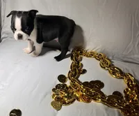 processed/556e972b-db4e-4e60-a6a5-cd76d1b32419/listing/b40e019b-4f56-49c0-a738-3ec1619eb2e5/ccddc805-c9d1-46a5-ba40-94b479b267d8