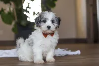 processed/557a9ec8-2319-4ce8-ab70-18b9cf7da248/listing/37696360-f025-48e7-ae29-47e858ff27e1/358fd385-6dc8-4a9a-a2d9-cfcf86d1dbab