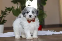 processed/557a9ec8-2319-4ce8-ab70-18b9cf7da248/listing/37696360-f025-48e7-ae29-47e858ff27e1/81f29a51-2c12-4ee4-bca4-998cea79a403