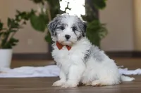 processed/557a9ec8-2319-4ce8-ab70-18b9cf7da248/listing/37696360-f025-48e7-ae29-47e858ff27e1/be98b740-572a-4377-ae6e-3428b51f3040