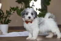 processed/557a9ec8-2319-4ce8-ab70-18b9cf7da248/listing/37696360-f025-48e7-ae29-47e858ff27e1/e517084e-04c8-4239-b79a-f6c0e9b52c3b