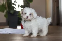 processed/557a9ec8-2319-4ce8-ab70-18b9cf7da248/listing/63cecba3-0da3-4943-9be6-94671582d2a1/05b0974a-6df0-4167-a173-cceb77a54f60