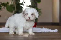 processed/557a9ec8-2319-4ce8-ab70-18b9cf7da248/listing/63cecba3-0da3-4943-9be6-94671582d2a1/80af63fc-55b9-499a-89ff-146e84164dd6