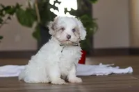 processed/557a9ec8-2319-4ce8-ab70-18b9cf7da248/listing/63cecba3-0da3-4943-9be6-94671582d2a1/a0bad788-8db9-45aa-8d45-1a3934a1ba4c