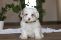 processed/557a9ec8-2319-4ce8-ab70-18b9cf7da248/listing/63cecba3-0da3-4943-9be6-94671582d2a1/b9871a6d-f7df-46d7-a7ac-2ded11bceb38