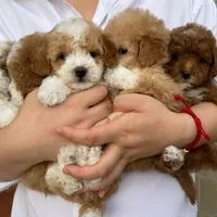 processed/557fa76b-75fe-428b-b3d6-4247559edb7c/facility/0d555563-4c6f-4f02-a227-7c4e6db5e56c