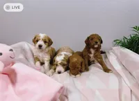 processed/557fa76b-75fe-428b-b3d6-4247559edb7c/facility/78a2b81a-30dd-466a-be0a-c10abcfd615b