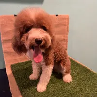 processed/557fa76b-75fe-428b-b3d6-4247559edb7c/facility/95917212-63df-4654-aa16-9b652d388af7