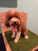 processed/557fa76b-75fe-428b-b3d6-4247559edb7c/facility/95917212-63df-4654-aa16-9b652d388af7