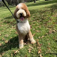 processed/557fa76b-75fe-428b-b3d6-4247559edb7c/facility/a8276832-2e2a-4fa4-9123-39959c06f404