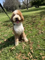 processed/557fa76b-75fe-428b-b3d6-4247559edb7c/facility/a8276832-2e2a-4fa4-9123-39959c06f404