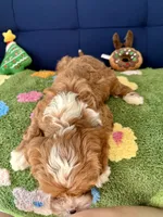 processed/557fa76b-75fe-428b-b3d6-4247559edb7c/listing/a0ab3a7a-a218-4e4f-87de-62da181bc482/2619f548-a06a-4e95-ab4b-a22a8b5fa96c