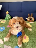 processed/557fa76b-75fe-428b-b3d6-4247559edb7c/listing/a0ab3a7a-a218-4e4f-87de-62da181bc482/caa5629d-7684-4fc1-92ec-38a6df0abaf9