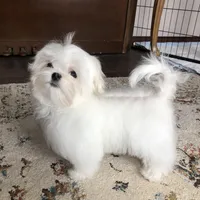 processed/55805078-54e0-48a8-9f1f-82f7cb14f203/facility/6472fadb-1026-491b-b923-dc749fece320