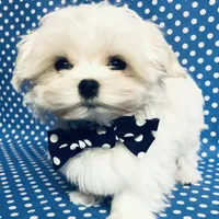 processed/55805078-54e0-48a8-9f1f-82f7cb14f203/facility/bab41552-c077-447d-ab21-4e76693d28a6