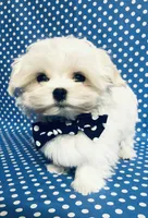 processed/55805078-54e0-48a8-9f1f-82f7cb14f203/facility/bab41552-c077-447d-ab21-4e76693d28a6