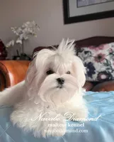 processed/55805078-54e0-48a8-9f1f-82f7cb14f203/listing/12bd27d9-241d-42ca-be83-2d566f580c8c/011d462a-d5c8-4681-9f31-0c944e7c93f2