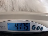 processed/55805078-54e0-48a8-9f1f-82f7cb14f203/listing/12bd27d9-241d-42ca-be83-2d566f580c8c/27ca9d6a-24cd-41c8-a6e6-8d71ab87f2fc