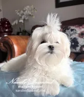 processed/55805078-54e0-48a8-9f1f-82f7cb14f203/listing/12bd27d9-241d-42ca-be83-2d566f580c8c/60a6cb73-b011-4031-8656-661ee8823d20