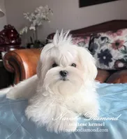 processed/55805078-54e0-48a8-9f1f-82f7cb14f203/listing/12bd27d9-241d-42ca-be83-2d566f580c8c/6a8b0e6c-b3ce-42d7-8759-794408712b2d