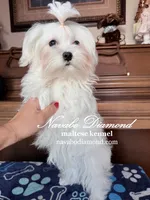 processed/55805078-54e0-48a8-9f1f-82f7cb14f203/listing/9d77ef3b-fa4e-4895-a684-0edc192511b8/2f78a1de-8586-4b1b-954c-0c617d3dd916