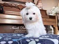 processed/55805078-54e0-48a8-9f1f-82f7cb14f203/listing/9d77ef3b-fa4e-4895-a684-0edc192511b8/df7bf364-f8e6-43fd-84fb-03d96a2c3e68