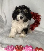 processed/558248f3-dff0-46cd-83b7-066451d489cf/listing/260adc97-a238-40dd-b016-ad180e9f56e1/119dcaf9-e3ef-49e3-a1ef-2626e5c4a88b