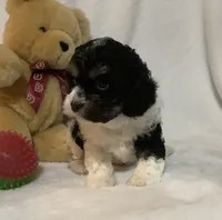 processed/558248f3-dff0-46cd-83b7-066451d489cf/listing/260adc97-a238-40dd-b016-ad180e9f56e1/7172b38d-c924-437b-80c1-40cbeea9c87e