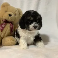 processed/558248f3-dff0-46cd-83b7-066451d489cf/listing/260adc97-a238-40dd-b016-ad180e9f56e1/80b2bcbd-5ed7-48b0-88cc-df0151ae8369