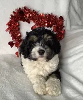 processed/558248f3-dff0-46cd-83b7-066451d489cf/listing/260adc97-a238-40dd-b016-ad180e9f56e1/c0b3082f-f96e-4a60-bb1d-9a56b3518d42