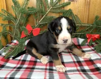 processed/558248f3-dff0-46cd-83b7-066451d489cf/listing/525847e9-f2f7-4d76-86f2-c353929a55e3/053074bf-8bcb-4c6e-a5d8-eba31f3fb125