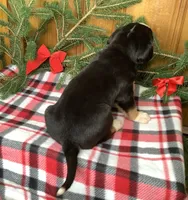 processed/558248f3-dff0-46cd-83b7-066451d489cf/listing/525847e9-f2f7-4d76-86f2-c353929a55e3/12b2faac-31dc-4fab-9a1d-aa9412cc1097