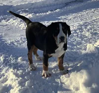 processed/558248f3-dff0-46cd-83b7-066451d489cf/listing/525847e9-f2f7-4d76-86f2-c353929a55e3/87850b76-c070-4ef2-9d96-6ca48930433a