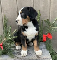 processed/558248f3-dff0-46cd-83b7-066451d489cf/listing/525847e9-f2f7-4d76-86f2-c353929a55e3/adb7ebec-a6f8-4dc6-8bcd-4ff96200040f