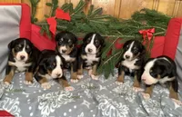 processed/558248f3-dff0-46cd-83b7-066451d489cf/listing/525847e9-f2f7-4d76-86f2-c353929a55e3/b10dd87c-fa87-4441-a0d2-25bc9571a5b7