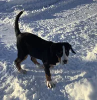 processed/558248f3-dff0-46cd-83b7-066451d489cf/listing/525847e9-f2f7-4d76-86f2-c353929a55e3/d00551c1-5d1c-41f3-aebb-7c63ef8251f8