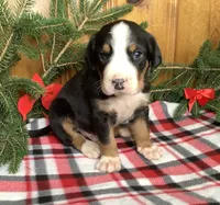 processed/558248f3-dff0-46cd-83b7-066451d489cf/listing/525847e9-f2f7-4d76-86f2-c353929a55e3/eb11550b-f362-4cc8-80a6-fad8fad70765