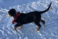 processed/558248f3-dff0-46cd-83b7-066451d489cf/listing/d82e420f-5188-48fb-9f5d-e60c855fdbf0/640ff39d-ae45-4536-86c5-1c4373732db1