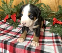 processed/558248f3-dff0-46cd-83b7-066451d489cf/listing/d82e420f-5188-48fb-9f5d-e60c855fdbf0/80ea3aa9-a313-4694-b03e-1705d8a0b01c