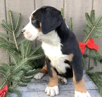 processed/558248f3-dff0-46cd-83b7-066451d489cf/listing/d82e420f-5188-48fb-9f5d-e60c855fdbf0/9d4aa51b-fa75-4999-8c0e-c227ab214243