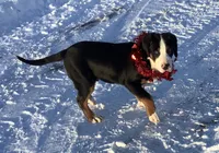 processed/558248f3-dff0-46cd-83b7-066451d489cf/listing/d82e420f-5188-48fb-9f5d-e60c855fdbf0/ac0edeea-44a1-41a3-8092-84117d294d32