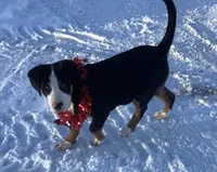 processed/558248f3-dff0-46cd-83b7-066451d489cf/listing/d82e420f-5188-48fb-9f5d-e60c855fdbf0/c0950202-ea3d-4bc8-b917-1951616c2377