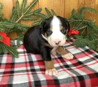 processed/558248f3-dff0-46cd-83b7-066451d489cf/listing/d82e420f-5188-48fb-9f5d-e60c855fdbf0/d731e25a-f6a9-4c1f-a90a-8f7a5e451bd4