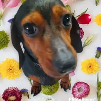 processed/55901e37-c488-41b3-99e4-4ddc470e36df/facility/494edb7d-9dde-4502-ae21-21739625411c