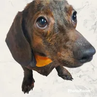 processed/55901e37-c488-41b3-99e4-4ddc470e36df/facility/5acbc713-0e68-4b99-bb2b-cb2019ffe36b