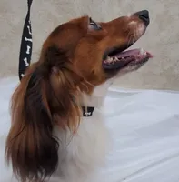 processed/55901e37-c488-41b3-99e4-4ddc470e36df/facility/ba7f3550-13a7-4791-b734-b271b871bbe3